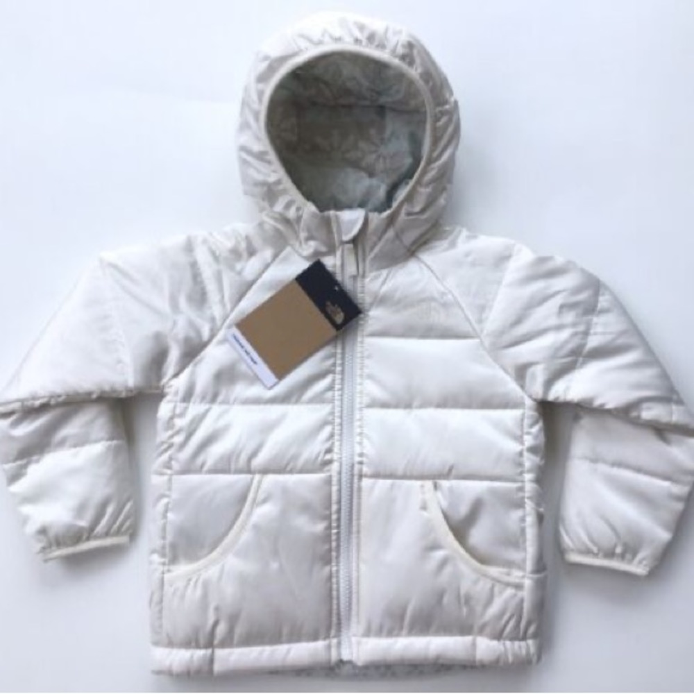 Toddler reversible north face coat and gloves set